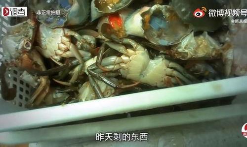 胖哥俩肉蟹爆料视频在线观看,美味蟹宴，尽在云端